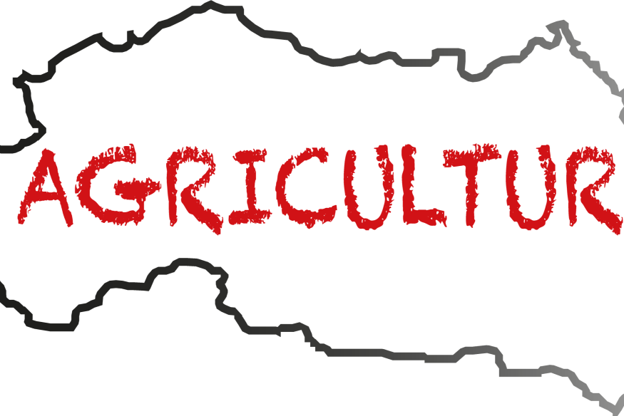 9 Marchés de Producteurs organisés en 2025 par la Chambre d'Agriculture de l'Allier