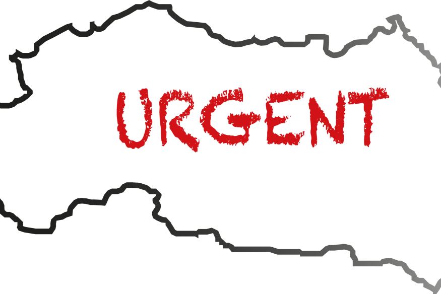 Le Wallaby Blanc parti du Parc Animalier de Prémilhat au Domaine de la Ganne a été retrouvé sain et sauf